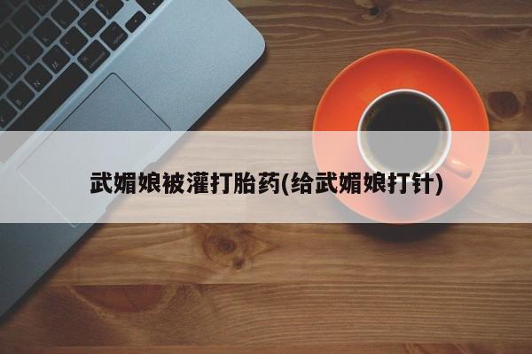 打胎药购买武媚娘被灌打胎药(给武媚娘打针)