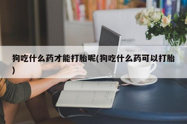 打胎药购买狗吃什么药才能打胎呢(狗吃什么药可以打胎)