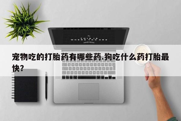 打胎药购买宠物吃的打胎药有哪些药.狗吃什么药打胎最快？