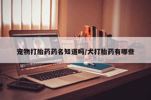 打胎药购买宠物打胎药药名知道吗/犬打胎药有哪些