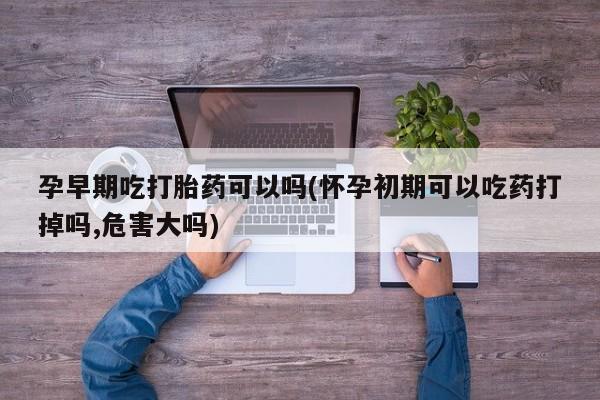 打胎药购买孕早期吃打胎药可以吗(怀孕初期可以吃药打掉吗,危害大吗)